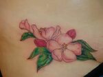30 Apple Blossom Tattoo Designs Apple blossom tattoos, Bloss